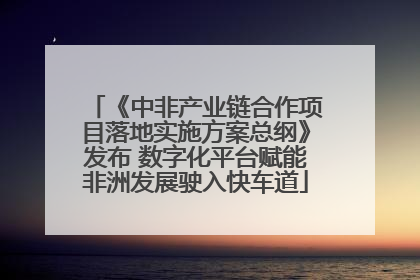 《中非产业链合作项目落地实施方案总纲》发布 数字化平台赋能非洲发展驶入快车道