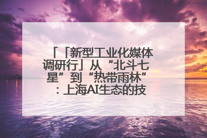 「新型工业化媒体调研行」从“北斗七星”到“热带雨林”：上海AI生态的技术商业共生密码