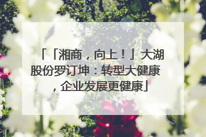「湘商，向上！」大湖股份罗订坤：转型大健康，企业发展更健康
