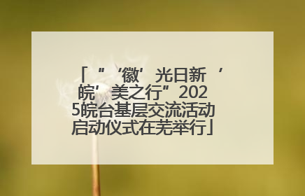 “‘徽’光日新‘皖’美之行”2025皖台基层交流活动启动仪式在芜举行