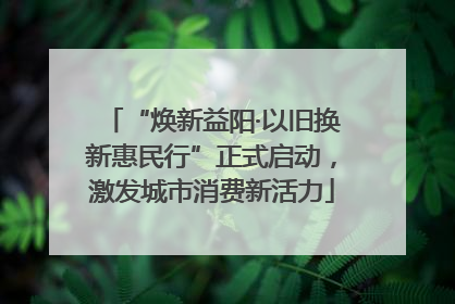 “焕新益阳·以旧换新惠民行”正式启动，激发城市消费新活力