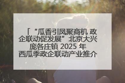 “瓜香引凤聚商机 政企联动促发展”北京大兴庞各庄镇 2025 年西瓜季政企联动产业推介活动圆满举行