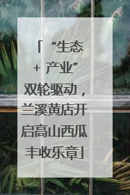 “生态 + 产业”双轮驱动，兰溪黄店开启高山西瓜丰收乐章