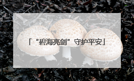 “碧海亮剑”守护平安