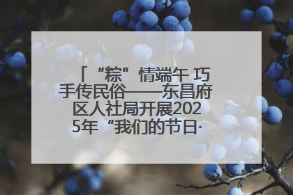 “粽”情端午 巧手传民俗——东昌府区人社局开展2025年“我们的节日·端午”包粽子活动