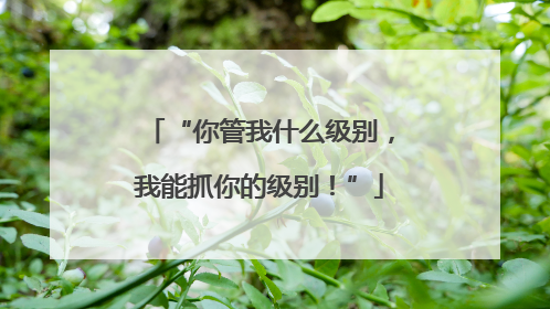“你管我什么级别，我能抓你的级别！”