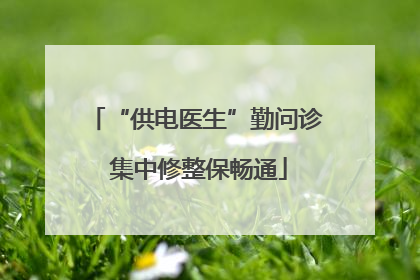 “供电医生”勤问诊 集中修整保畅通