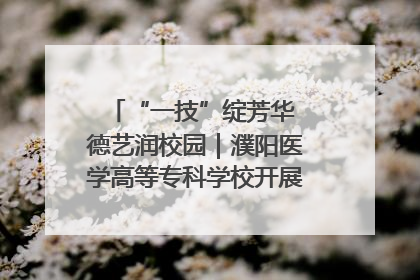 “一技”绽芳华 德艺润校园｜濮阳医学高等专科学校开展丰富多彩的职业教育活动周主题活动