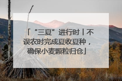 “三夏”进行时丨不误农时完成夏收夏种，确保小麦颗粒归仓