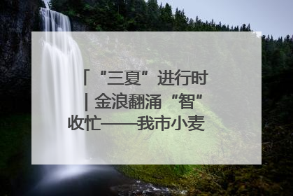 “三夏”进行时｜金浪翻涌“智”收忙——我市小麦开镰收割见闻