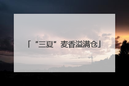 “三夏”麦香溢满仓