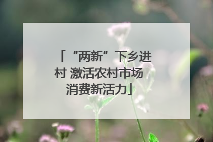 “两新”下乡进村 激活农村市场消费新活力