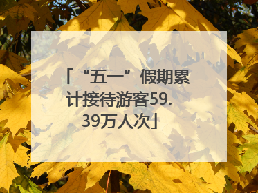 “五一”假期累计接待游客59.39万人次