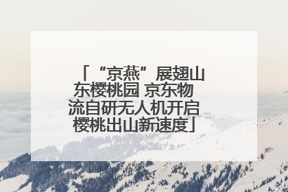 “京燕”展翅山东樱桃园 京东物流自研无人机开启樱桃出山新速度