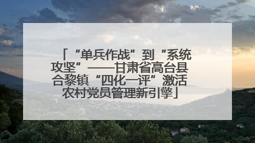 “单兵作战”到“系统攻坚”——甘肃省高台县合黎镇“四化一评”激活农村党员管理新引擎