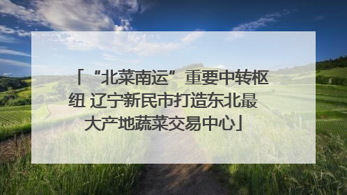 “北菜南运”重要中转枢纽 辽宁新民市打造东北最大产地蔬菜交易中心