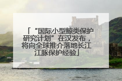 “国际小型鲸类保护研究计划”在汉发布，将向全球推介落地长江江豚保护经验