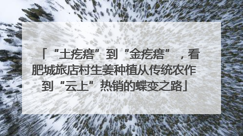 “土疙瘩”到“金疙瘩”，看肥城旅店村生姜种植从传统农作到“云上”热销的蝶变之路