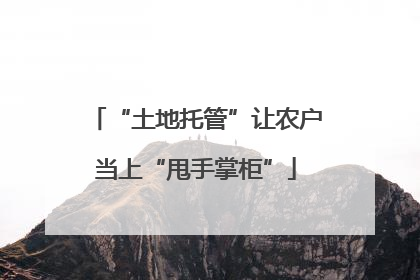 “土地托管”让农户当上“甩手掌柜”