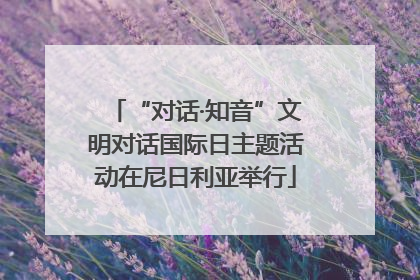 “对话·知音”文明对话国际日主题活动在尼日利亚举行