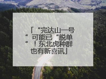 “完达山一号”可能已“脱单”！东北虎种群也有新喜讯