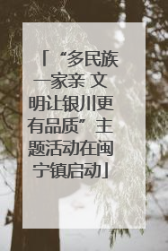 “多民族一家亲 文明让银川更有品质”主题活动在闽宁镇启动