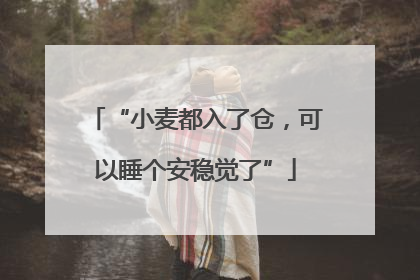 “小麦都入了仓，可以睡个安稳觉了”