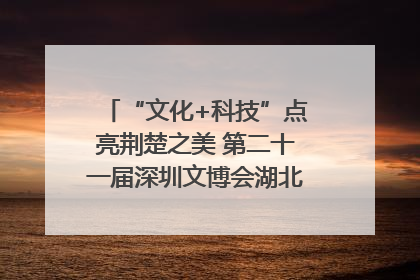 “文化+科技”点亮荆楚之美 第二十一届深圳文博会湖北馆抢“鲜”看