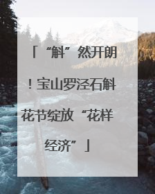 “斛”然开朗！宝山罗泾石斛花节绽放“花样经济”