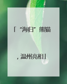 “海归”熊猫，温州亮相