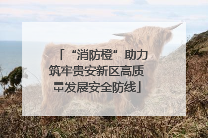 “消防橙”助力筑牢贵安新区高质量发展安全防线