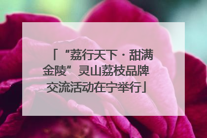 “荔行天下・甜满金陵”灵山荔枝品牌交流活动在宁举行