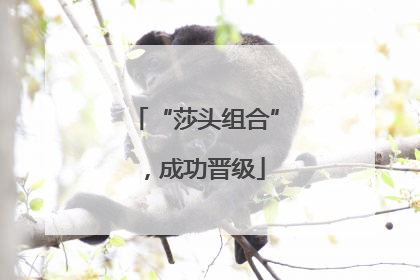 “莎头组合”，成功晋级