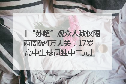 “苏超”观众人数仅隔两周破4万大关，17岁高中生球员独中二元