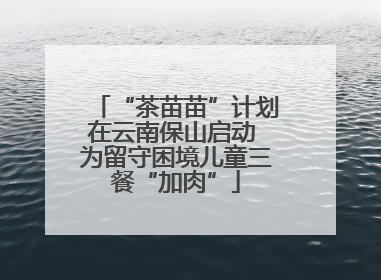 “茶苗苗”计划在云南保山启动 为留守困境儿童三餐“加肉”