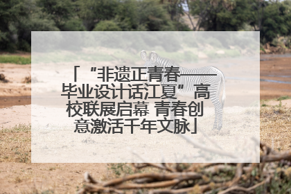 “非遗正青春——毕业设计话江夏”高校联展启幕 青春创意激活千年文脉