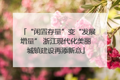 “闲置存量”变“发展增量” 浙江现代化美丽城镇建设再添新意