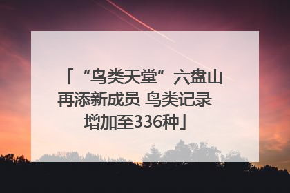 “鸟类天堂”六盘山再添新成员 鸟类记录增加至336种