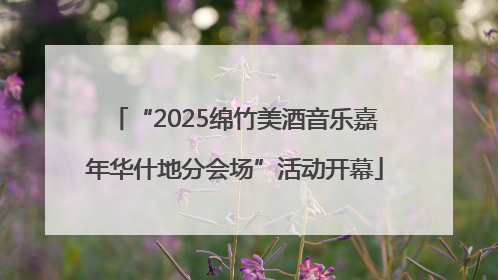 “2025绵竹美酒音乐嘉年华什地分会场”活动开幕