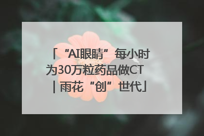 “AI眼睛”每小时为30万粒药品做CT｜雨花“创”世代