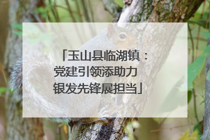 玉山县临湖镇：党建引领添助力 银发先锋展担当