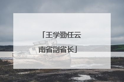 王学勤任云南省副省长