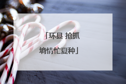环县 抢抓墒情忙夏种