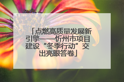 点燃高质量发展新引擎——忻州市项目建设“冬季行动”交出亮眼答卷