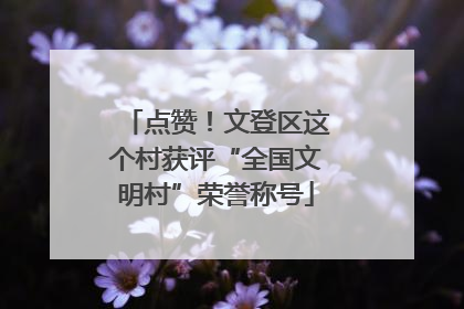 点赞！文登区这个村获评“全国文明村”荣誉称号