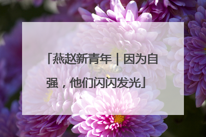 燕赵新青年｜因为自强，他们闪闪发光