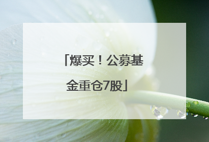 爆买！公募基金重仓7股