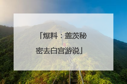 爆料：盖茨秘密去白宫游说