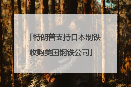 特朗普支持日本制铁收购美国钢铁公司