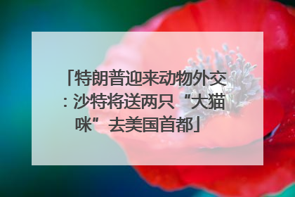 特朗普迎来动物外交：沙特将送两只“大猫咪”去美国首都